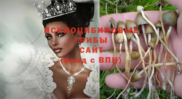 мет Балахна