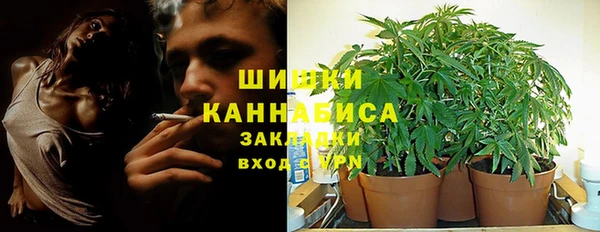 ГАЛЛЮЦИНОГЕННЫЕ ГРИБЫ Балабаново