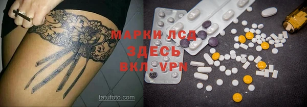 ГАЛЛЮЦИНОГЕННЫЕ ГРИБЫ Балабаново